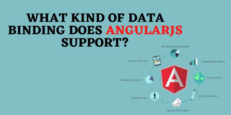 What Kind Of Data Binding Does AngularJS Support?