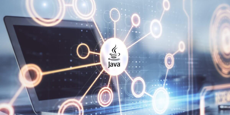 Why is Java widely used in enterprise software development?